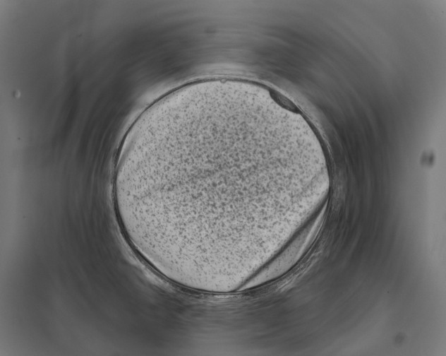 X0000097631390200803281049