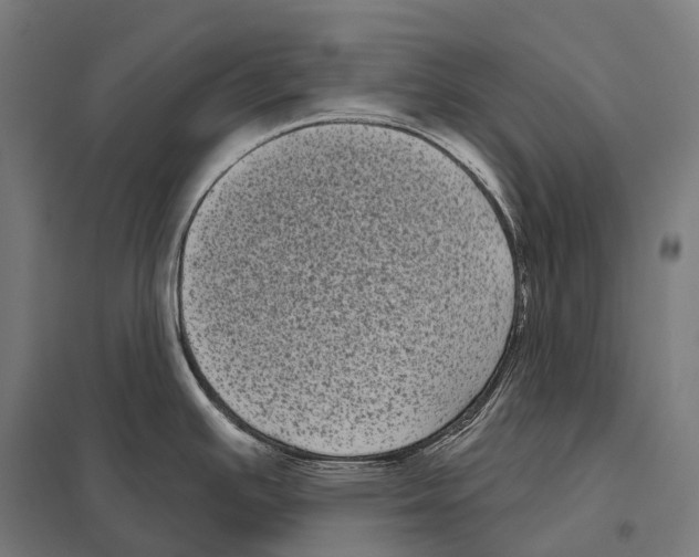 X0000097631391200803281049