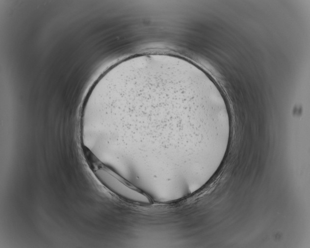 X0000097631392200803281049