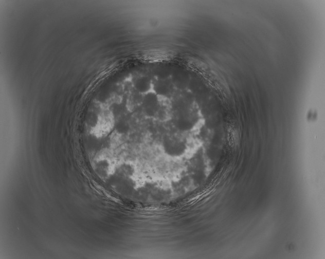 X0000097631393200803281048