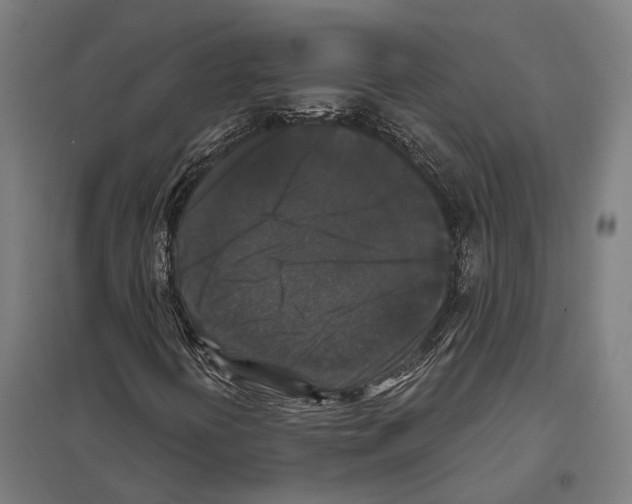 X0000097631394200803281048