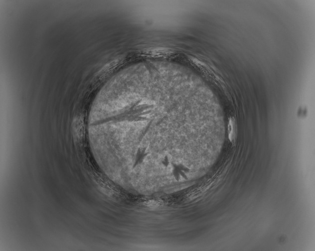 X0000097631395200803281048