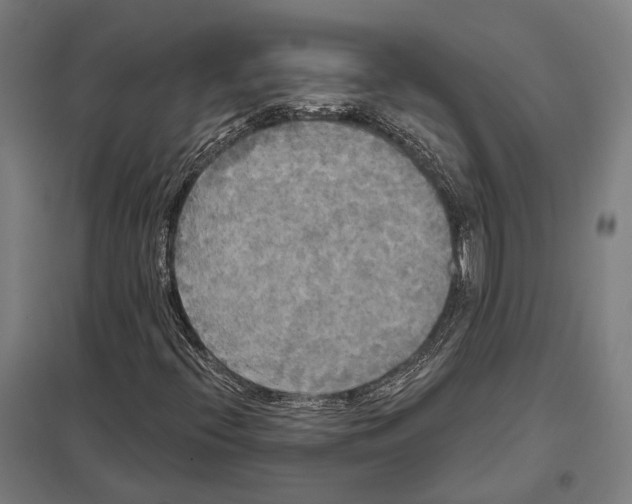 X0000097631396200803281048