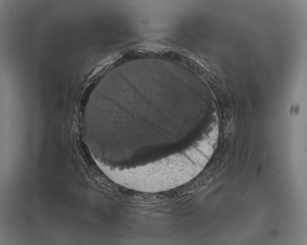 X0000097631397200803281048