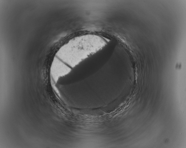 X0000097631398200803281048