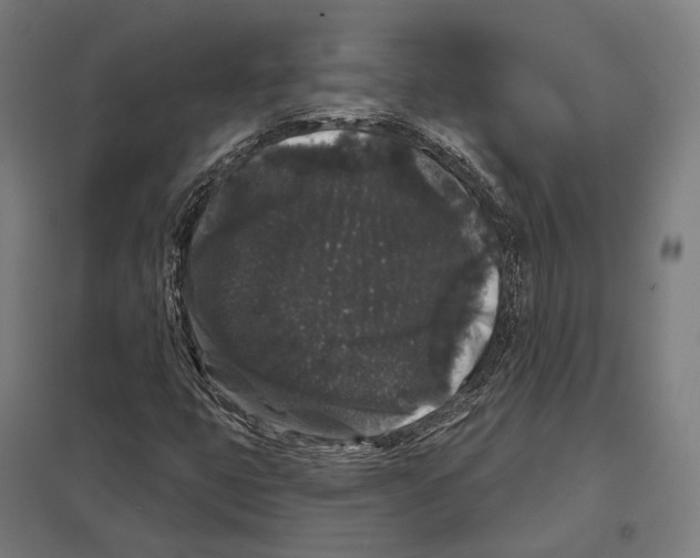 X0000097631399200803281048