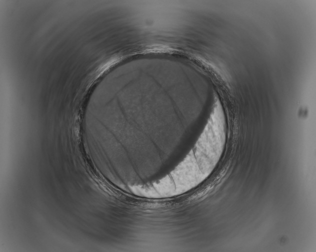 X0000097631401200803281048