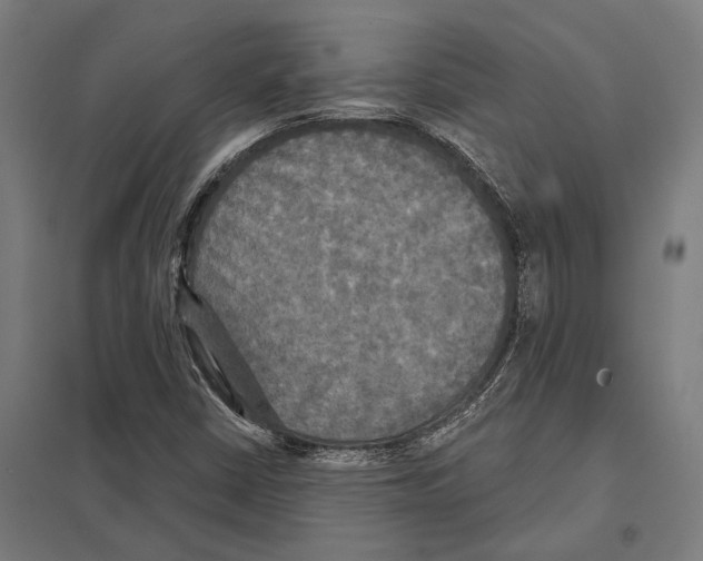 X0000097631402200803281048