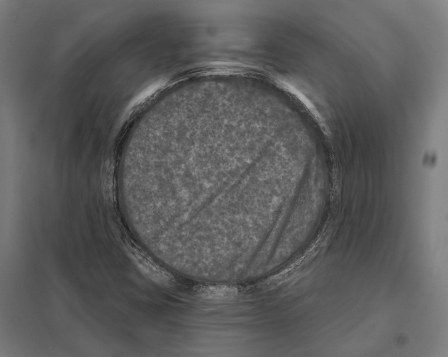 X0000097631403200803281048