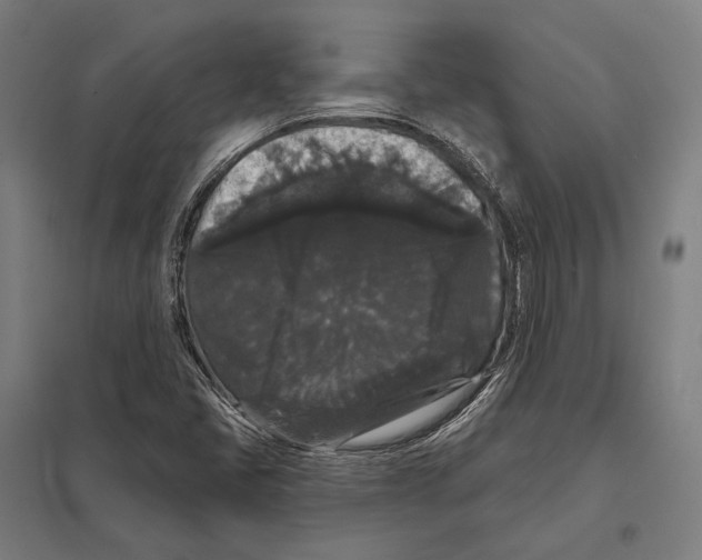 X0000097631405200803281049