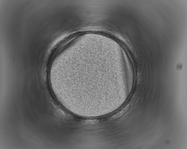X0000097631406200803281049