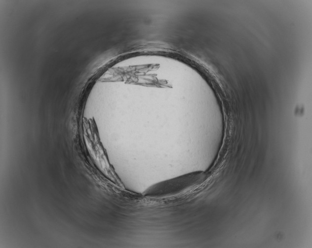 X0000097631407200803281049