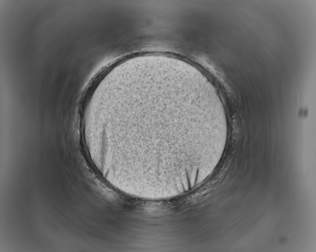 X0000097631408200803281049