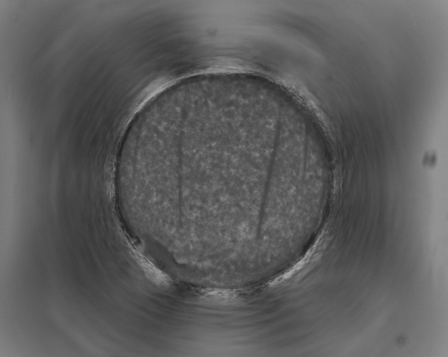 X0000097631409200803281049