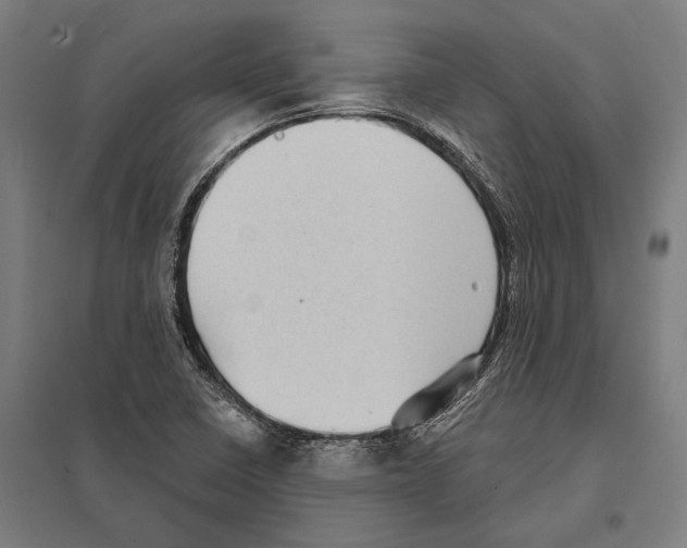 X0000097631410200803281049