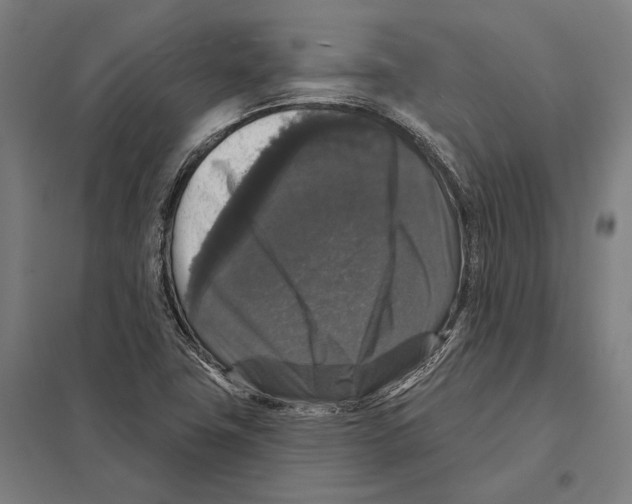X0000097631411200803281049