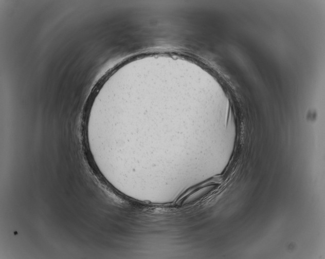 X0000097631412200803281049