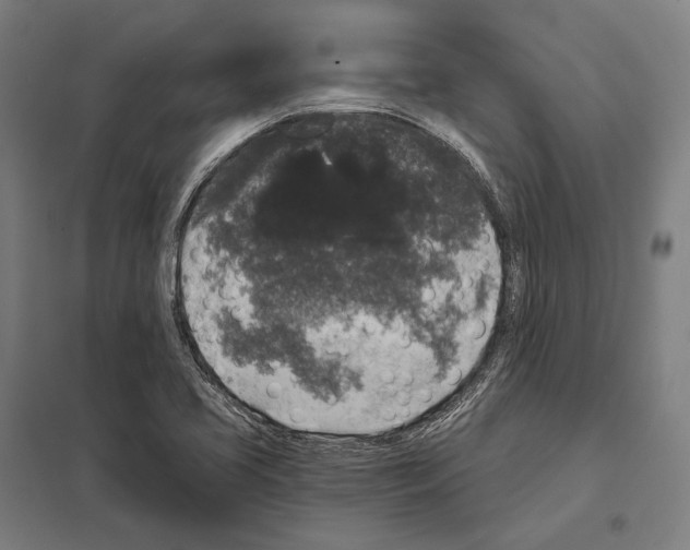 X0000097631413200803281049