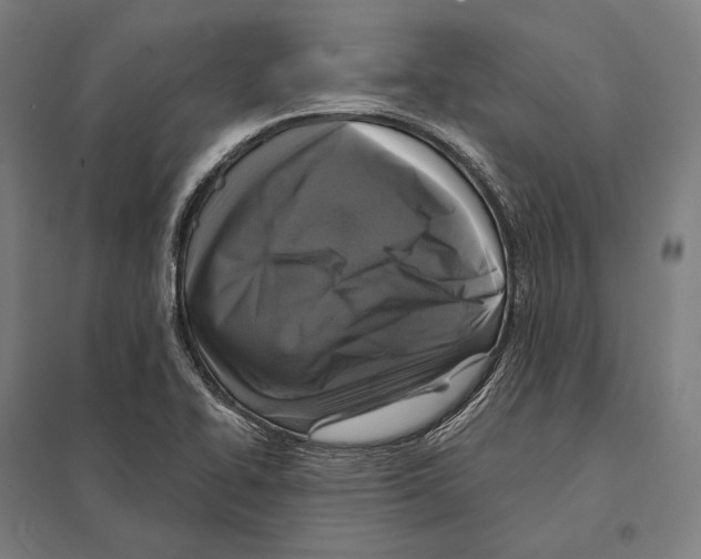 X0000097631414200803281049