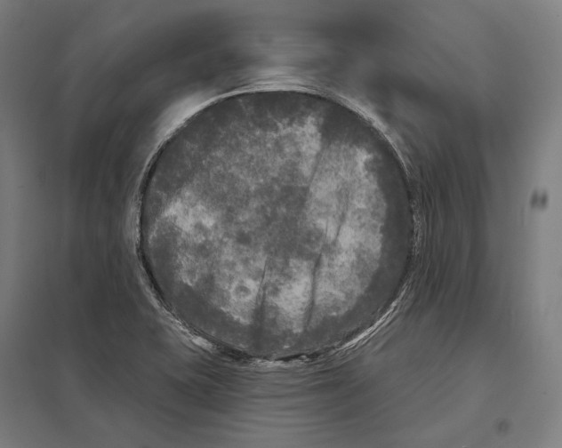 X0000097631415200803281049