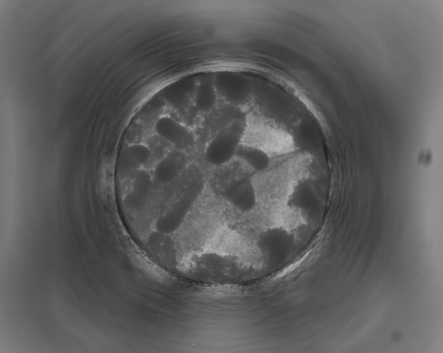 X0000097631417200803281049