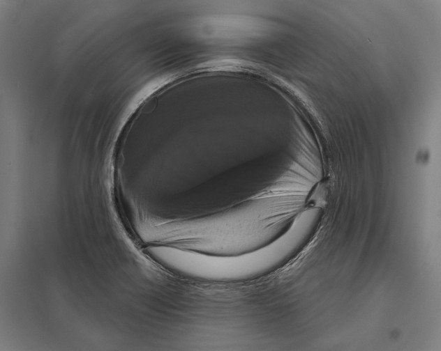 X0000097631418200803281049