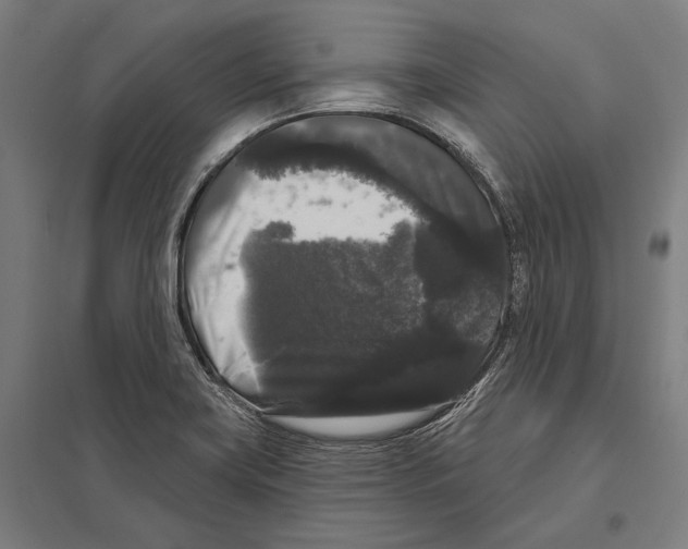 X0000097631419200803281049