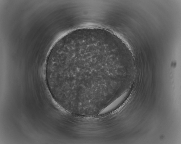X0000097631421200803281049