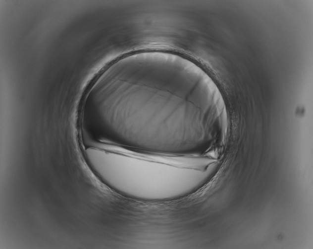 X0000097631422200803281049