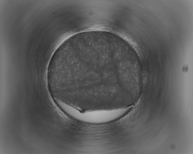 X0000097631423200803281049