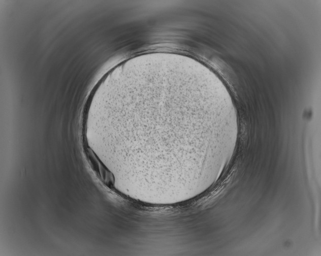 X0000097631426200803281049