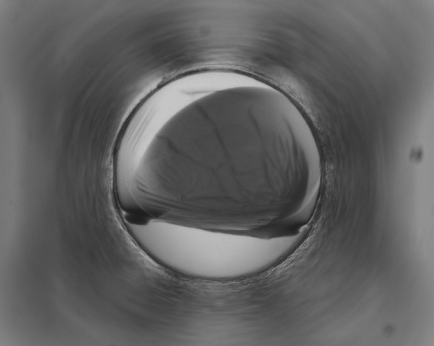X0000097631428200803281049