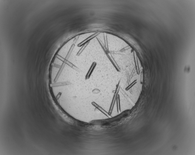 X0000097631431200803281049