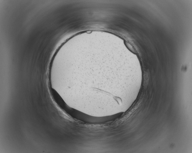 X0000097631432200803281049