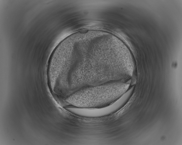 X0000097631434200803281049