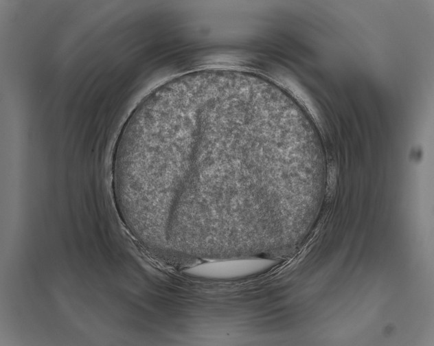 X0000097631435200803281049