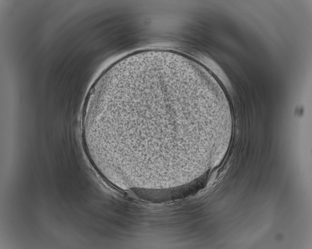 X0000097631436200803281049