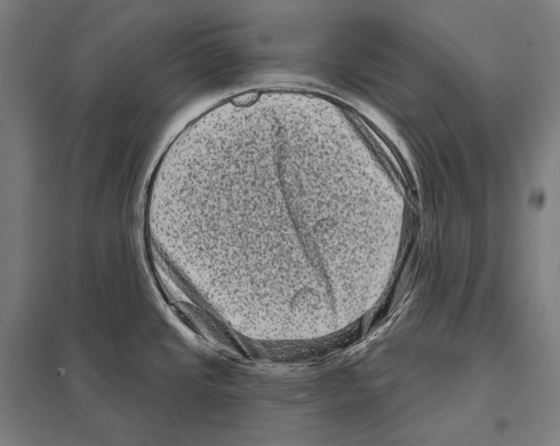 X0000097631437200803281049