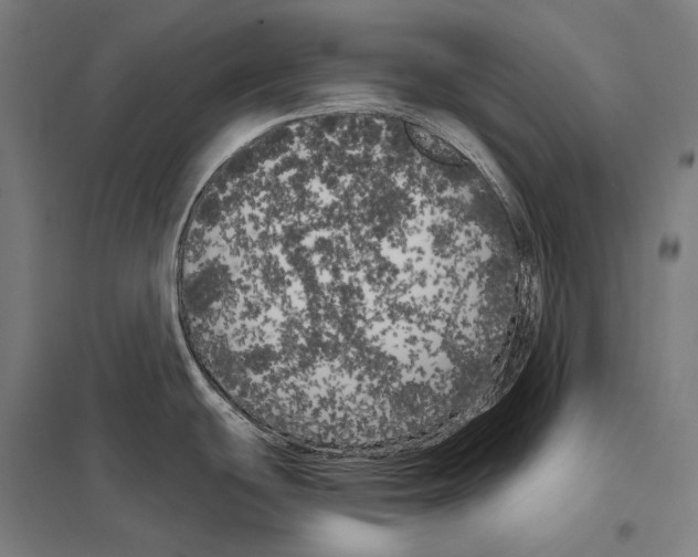 X0000097631439200803281049