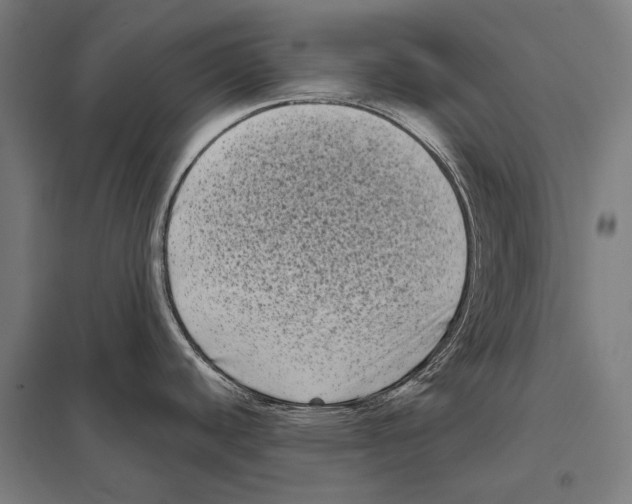 X0000097631440200803281049