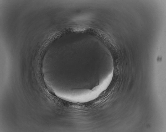 X0000097631441200803281048