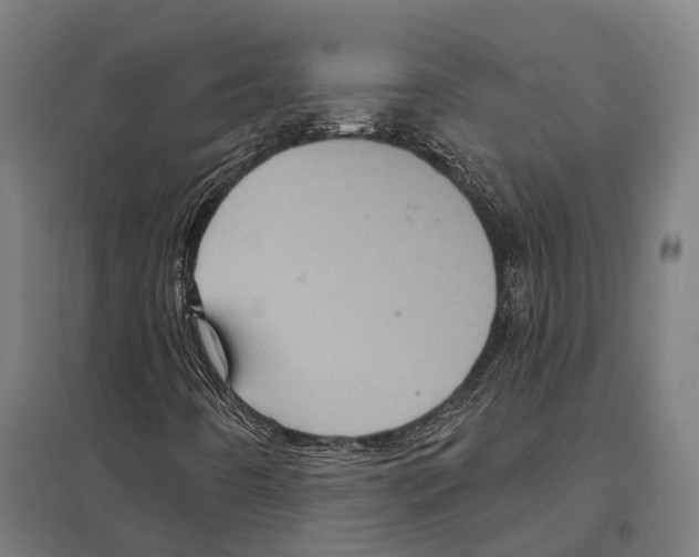 X0000097631442200803281048