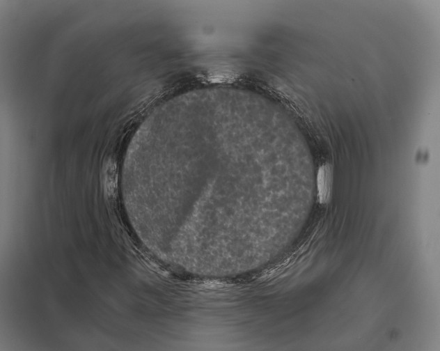 X0000097631443200803281048