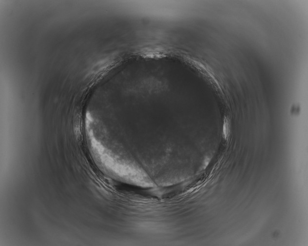 X0000097631444200803281048