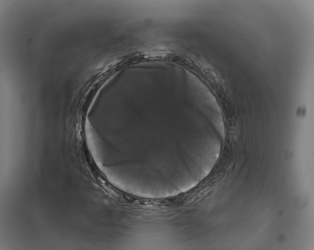 X0000097631445200803281048