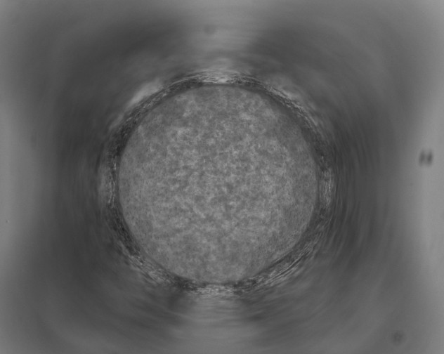 X0000097631446200803281048