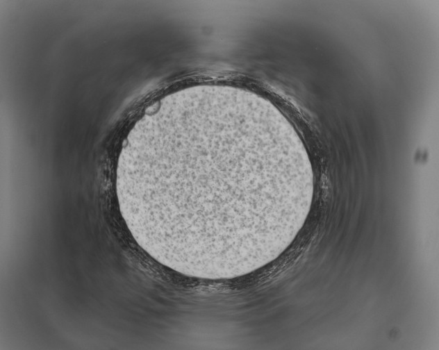 X0000097631447200803281048