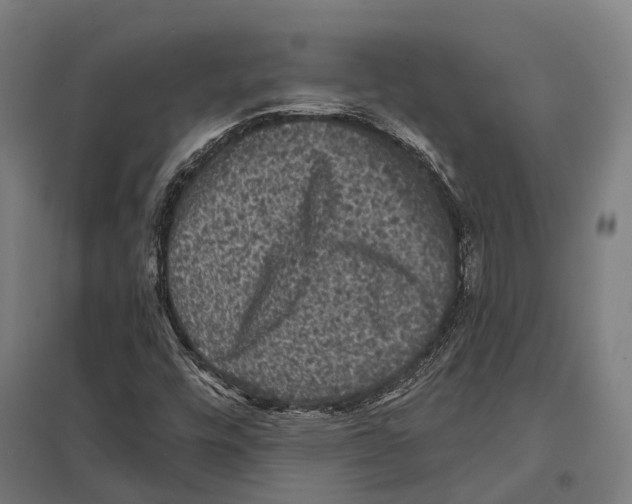 X0000097631448200803281048