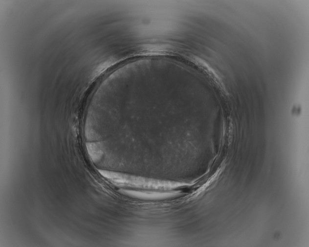 X0000097631449200803281048