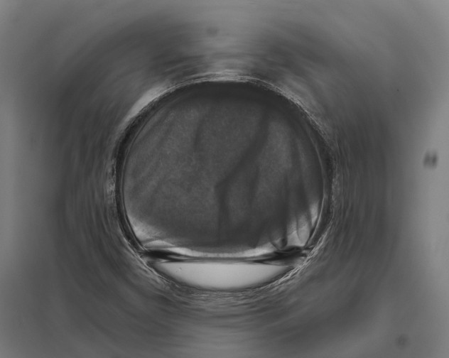 X0000097631450200803281048